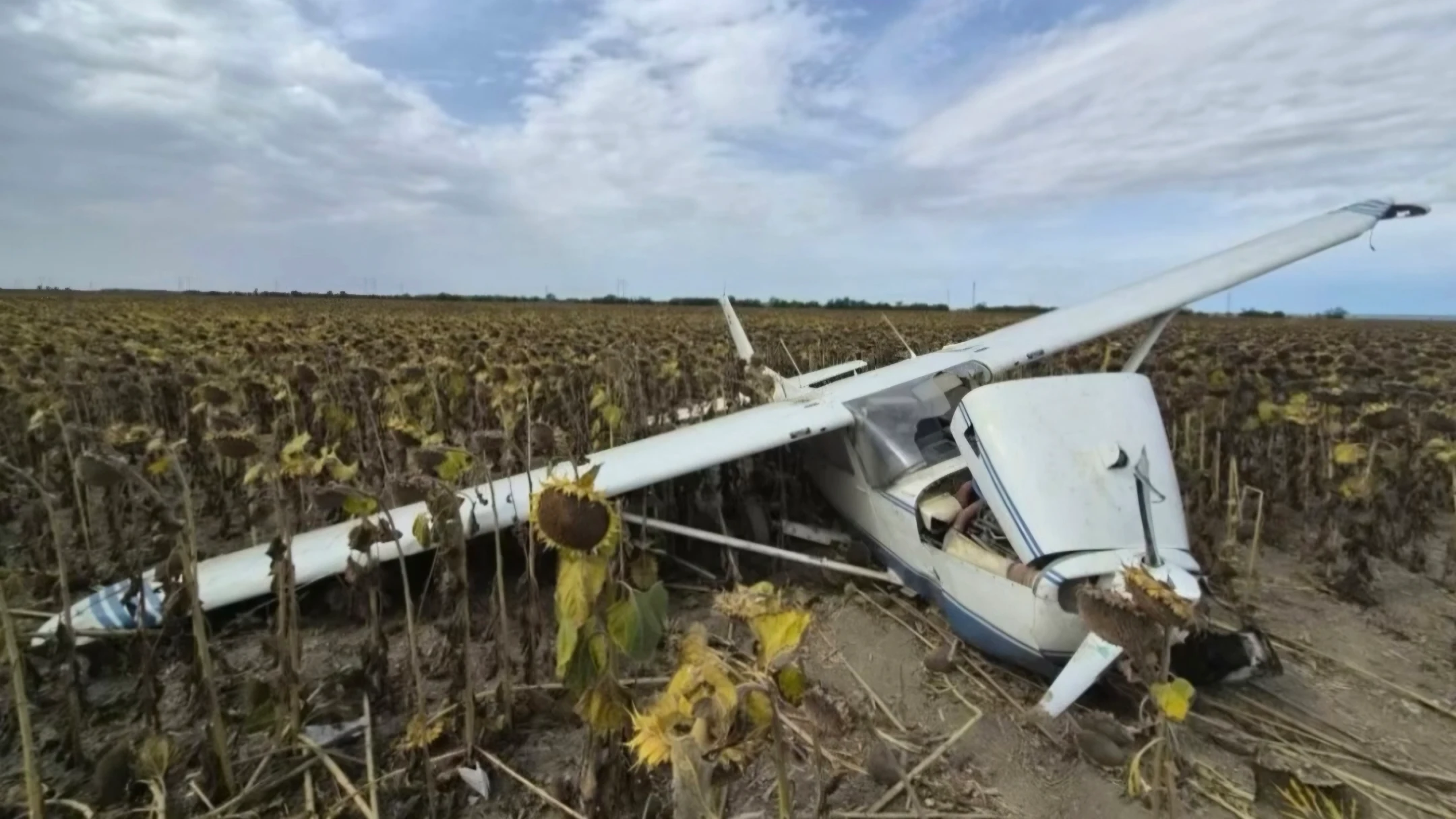A Gerjen mellett napraforgótáblában kényszerleszállást végrehajtó Cessna 172-es kisrepülőgép